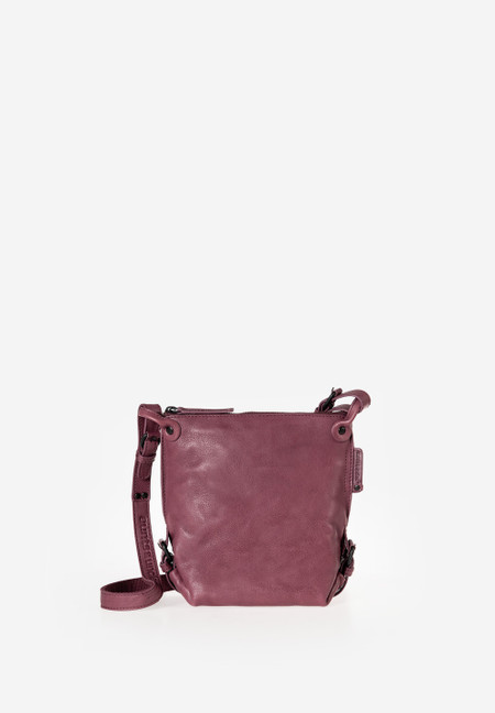 Mrs. Chocolate Cookie