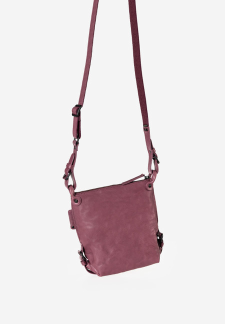 Mrs. Chocolate Cookie