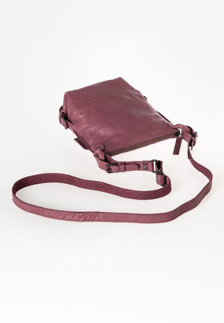 Mrs. Chocolate Cookie