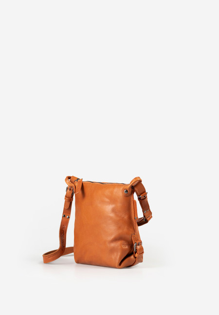 Mrs. Chocolate Cookie