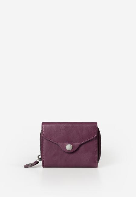 Judy