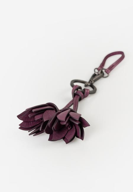 Crocus Charm